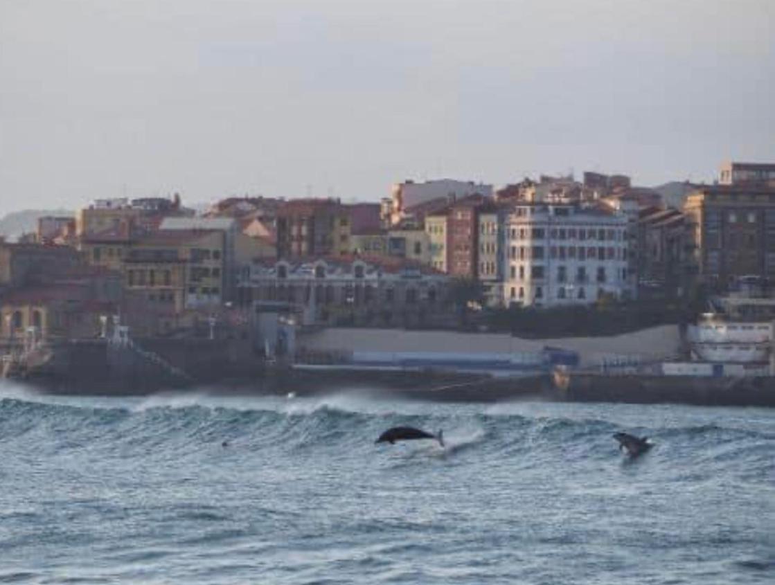 Alojamientos Muelle De Gijon Bagian luar foto